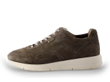 Greve Sneakers