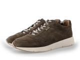 Greve Sneakers