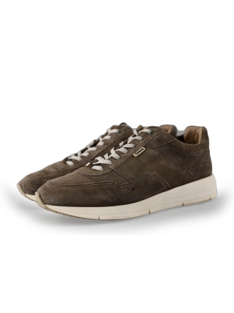 Greve Sneakers Bruin 239732
 Maat 42
 