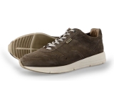 Greve Sneakers