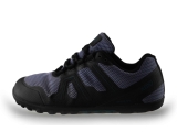Xero Sneakers