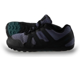 Xero Sneakers