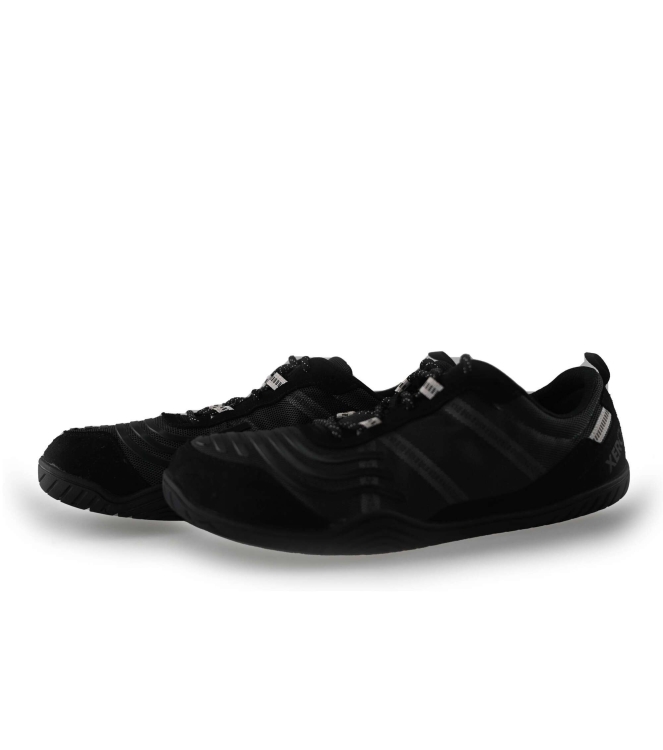 Xero Sneakers