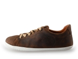 Aylla Sneakers
