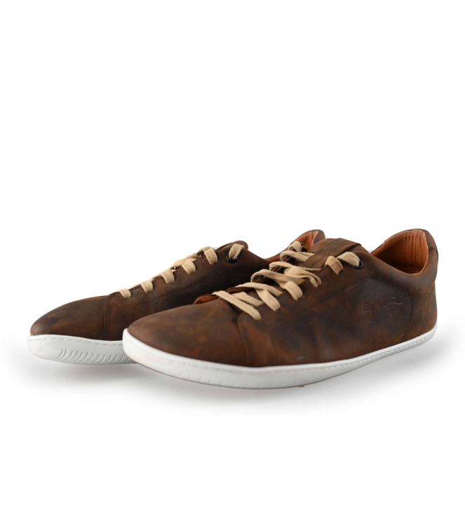 Aylla Sneakers
