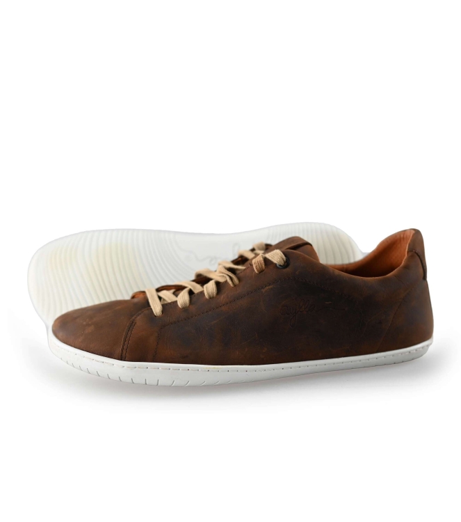 Aylla Sneakers
