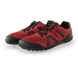 Xero Sneakers