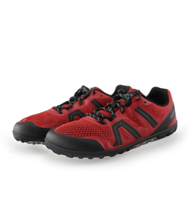 Xero Sneakers