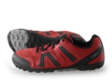 Xero Sneakers