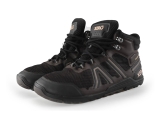 Xero Sneakers