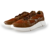 Nogrz Sneakers