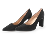 Nelson Pumps