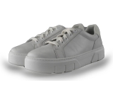 Timberland Sneakers