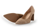Nelson Pumps