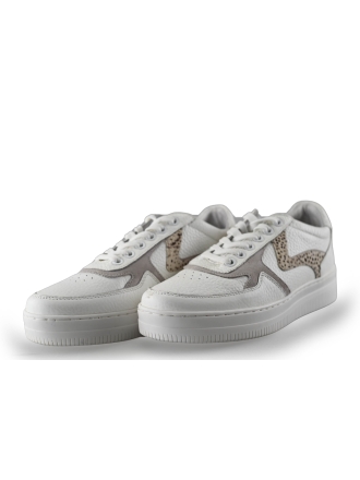  Maruti Sneakers 249970
 [MAAT] 37
 