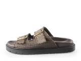 Sacha Slippers