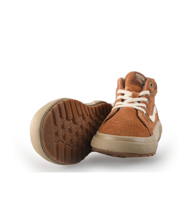 Vans Hoge Sneakers