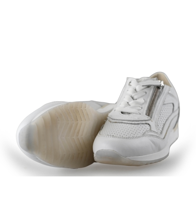 DL Sport Sneakers