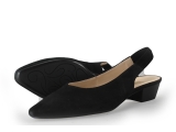 Gabor Pumps