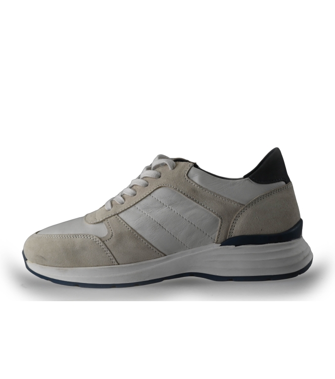 Campbell Sneakers