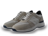 Campbell Sneakers