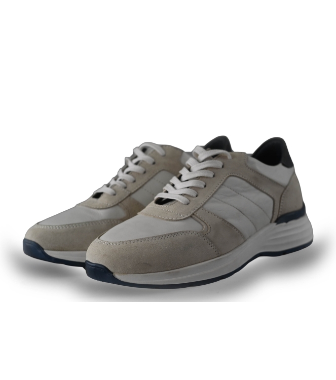 Campbell Sneakers