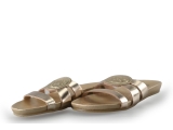 Shabbies Slippers