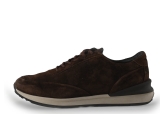 Greve Sneakers