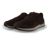 Greve Sneakers