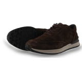 Greve Sneakers