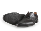 Reinhard Frans Veterschoenen