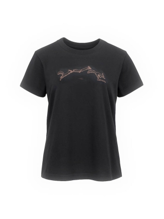 Icebreaker T-shirt Zwart 600062
 Maat L
 