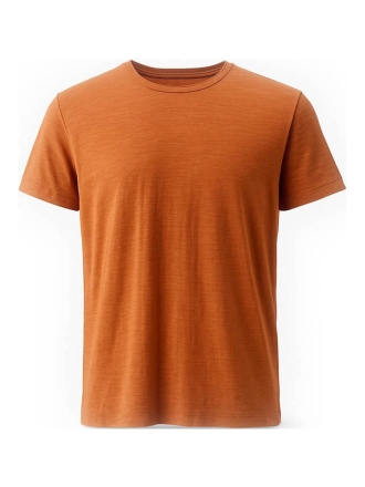 Icebreaker T-shirt Oranje 600204
 Maat L
 
