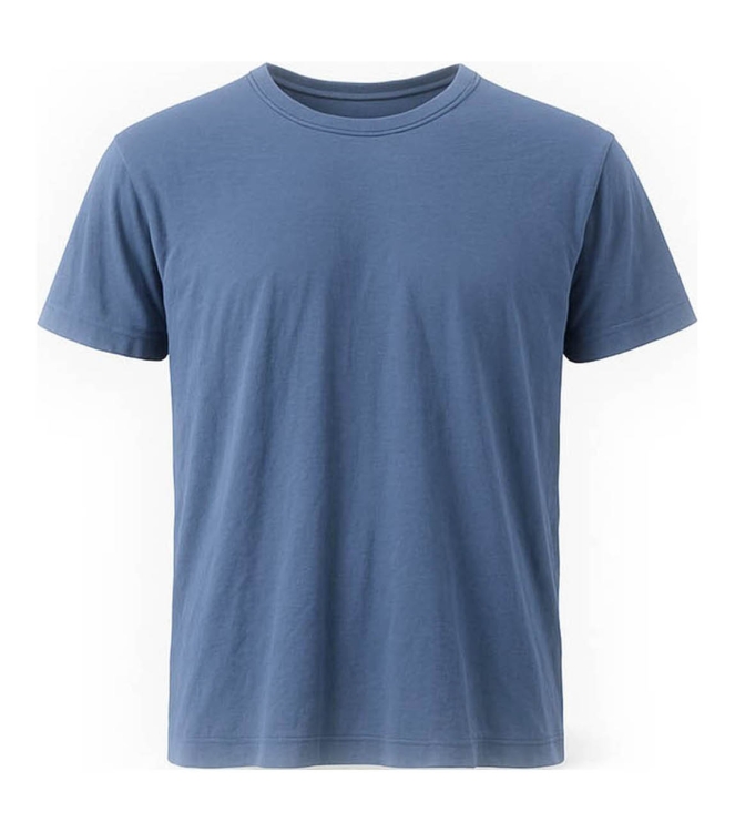Icebreaker T-shirt