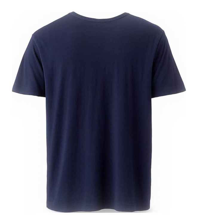 Icebreaker T-shirt