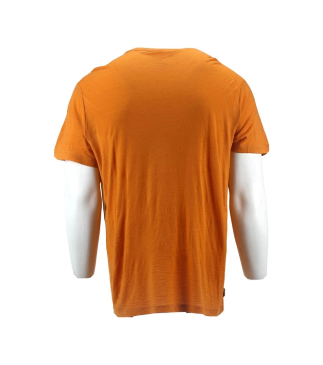 Icebreaker T-shirt