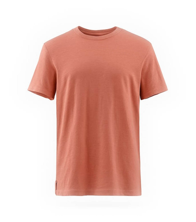 Icebreaker T-shirt