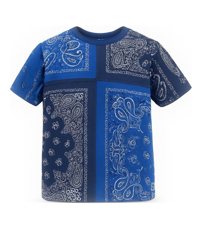 Vans T-shirt