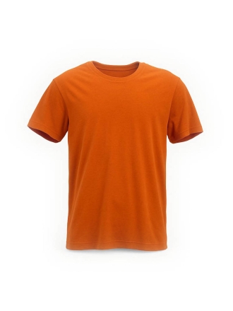Icebreaker T-shirt Oranje 601533
 Maat L
 