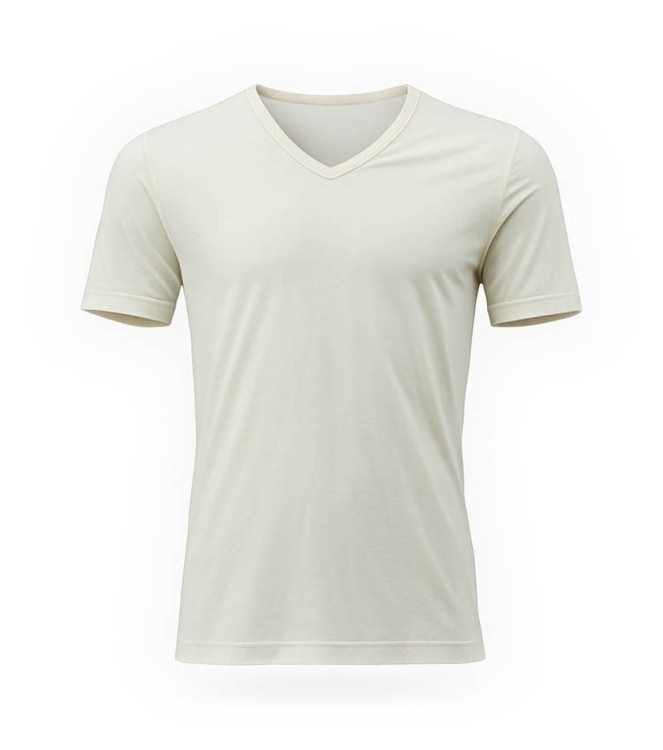 Icebreaker T-shirt