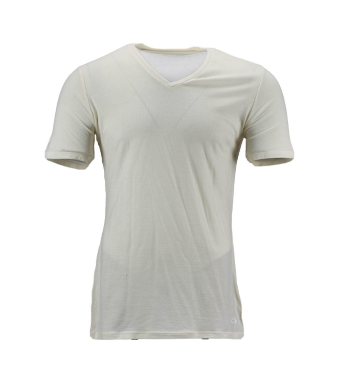 Icebreaker T-shirt