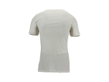 Icebreaker T-shirt