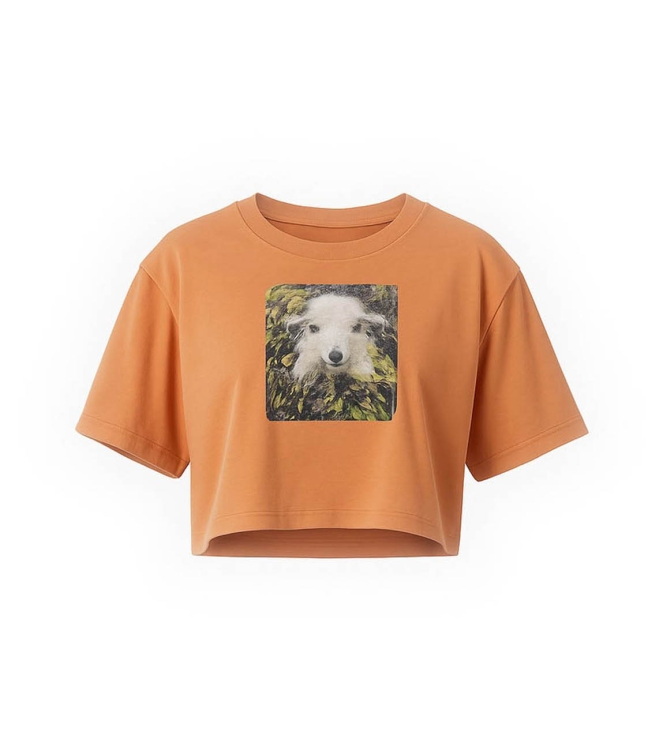 Vans T-shirt