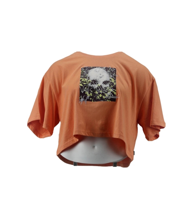 Vans T-shirt