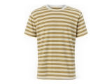Icebreaker T-shirt