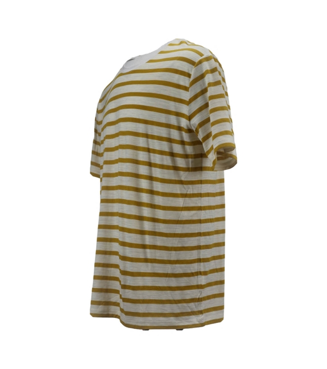 Icebreaker T-shirt