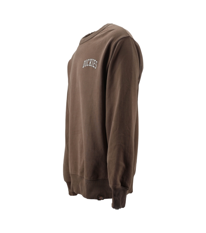 Dickies Trui