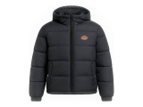Dickies Jas