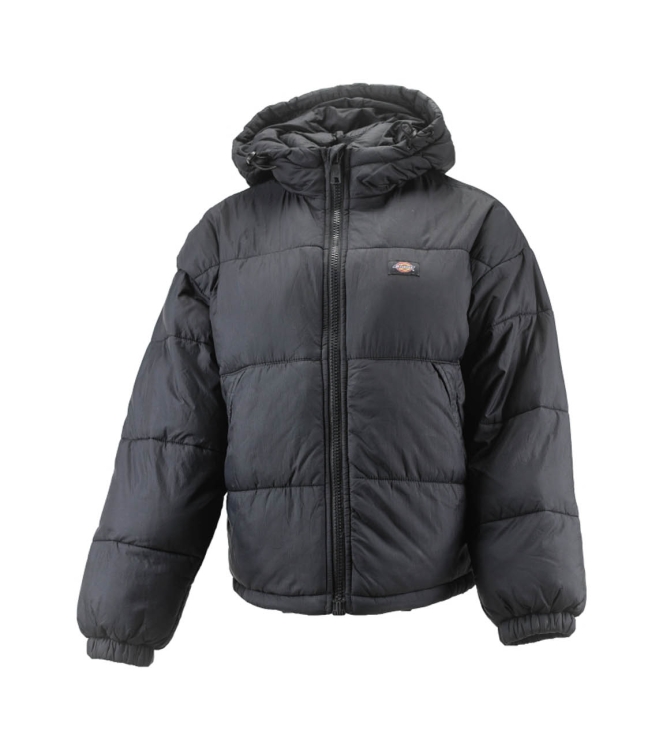 Dickies Jas