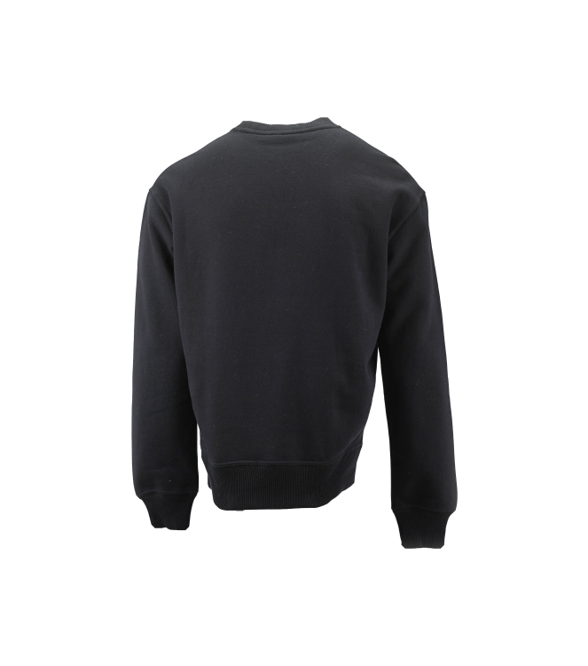 Dickies Trui
